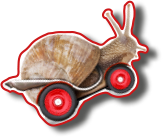 snail2