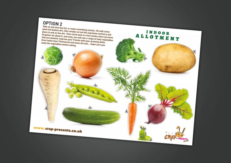 Allotment-4