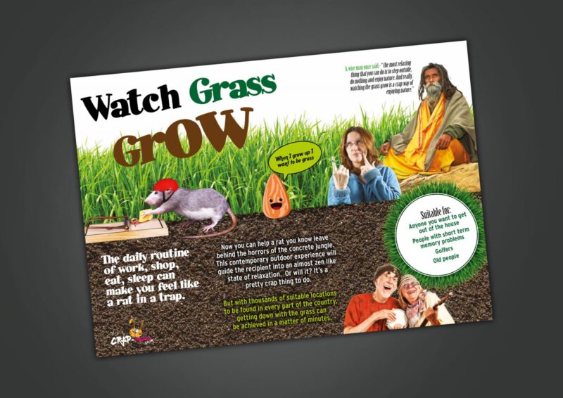grass-grow-1