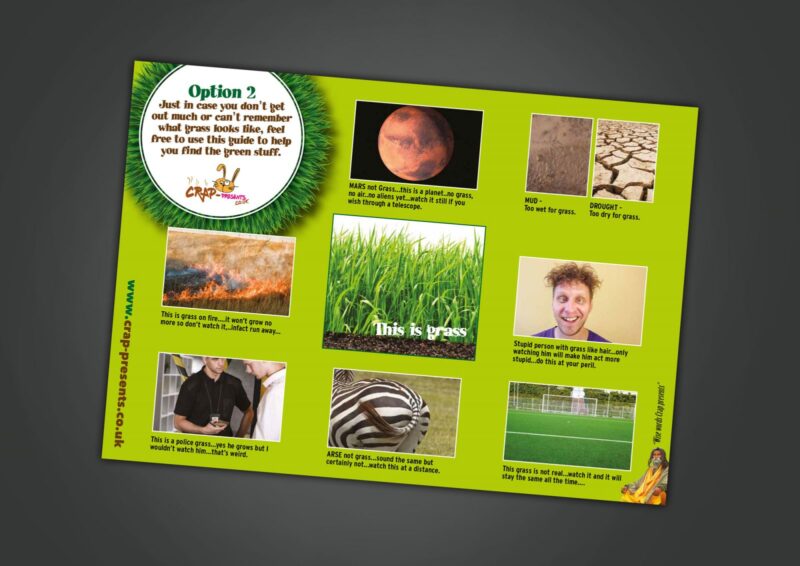 grass-grow-4